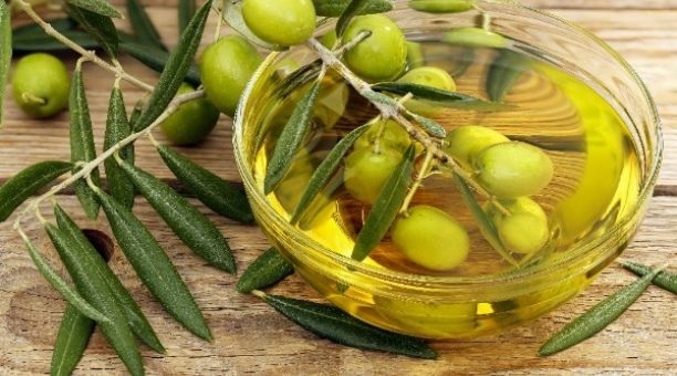 ¿Vuestros alumnos ya conocen el proceso de la obtención del aceite de oliva en ALMAZARA TRADICIONAL?